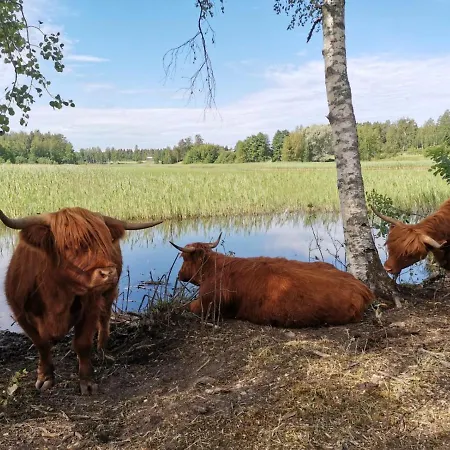 펜션 Isotalo Farm At Enaejaervi *