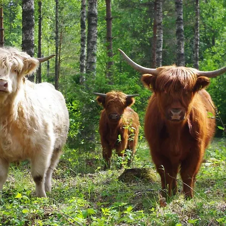 Isotalo Farm At Enaejaervi Tatil Evi *