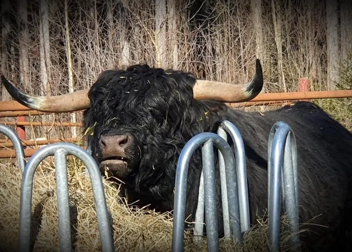 Isotalo Farm At Enaejaervi Сasa de vacaciones *