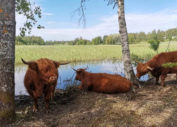 Сasa de vacaciones Isotalo Farm At Enaejaervi *