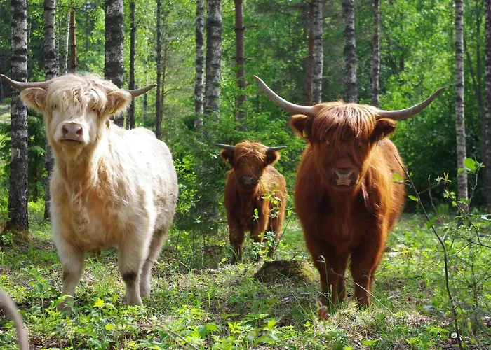 Isotalo Farm At Enaejaervi Сasa de vacaciones *